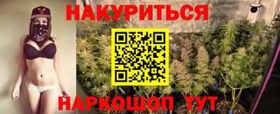 альфа пвп Новодвинск