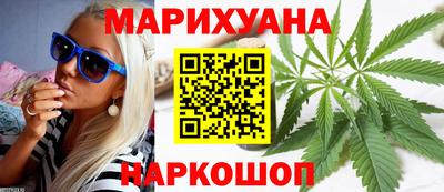 альфа пвп Новодвинск
